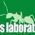 ants laboratory(New songs up!)