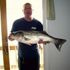 kevin Himes sr