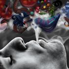 A journey through the senses