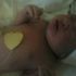 marche williams