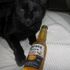 PUSS LOCO