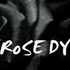 BlackRose Dynasty