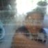 Epin Power