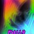 Chelly T