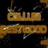 Callum Repz Bestwood 2009