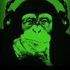 DJ Mapoo