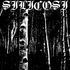 Silicosi