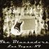 The Bluesadors