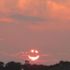 Smiley