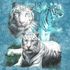 Brista Sutcliff