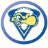 Vu Footy