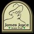 james joyce