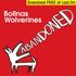 Bollnas Wolverines