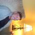 Luke  Beavers