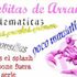 Las Plebitas de Arranque