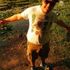 Roberto Marcial