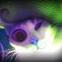 Loki Cat