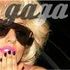 Lady Gaga Fans Only