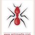 Antz Media Antz Media