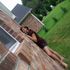 Kaitlyn Mcginley