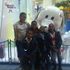 tajah loopen