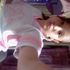 Hannah Babe