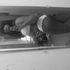 Lovin da Heat