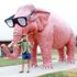 Theodore Elephant