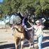 Susan Helton