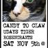 Udays Tiger