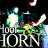 Hoof & Horn