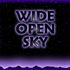 Wide Open Sky (DEMO TRACKS)
