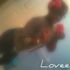 Beautiful B