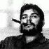 Ernesto guevara