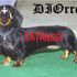 DIOrrea - NEW BLASPHEMOUS SONG UP!!!666