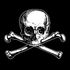 Mr. Bones