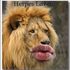 Herpes Løven