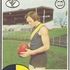 Kevin Sheedy