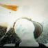 Aaron Contee