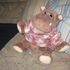 Junior Hippo