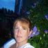 missy toor