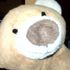 BEAR BEAR