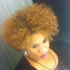 Nicol D