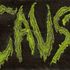 CAUST