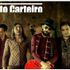 Gato Carteiro