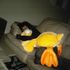 Katelyn .Hah