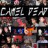 Camel Dead