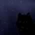 Lone Wolf Little Bear