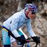 levi leipheimer
