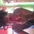 Gladis Mendez